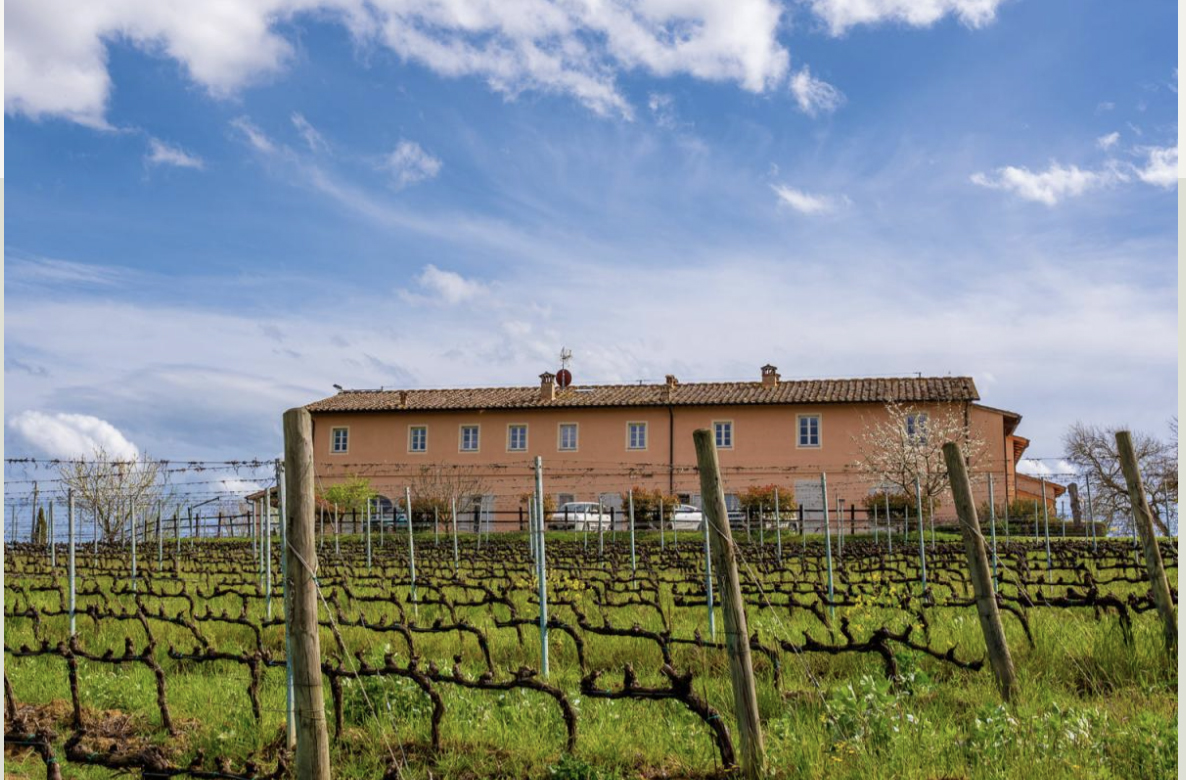 Azienda Agricola degli Azzoni Avogadro Carradori